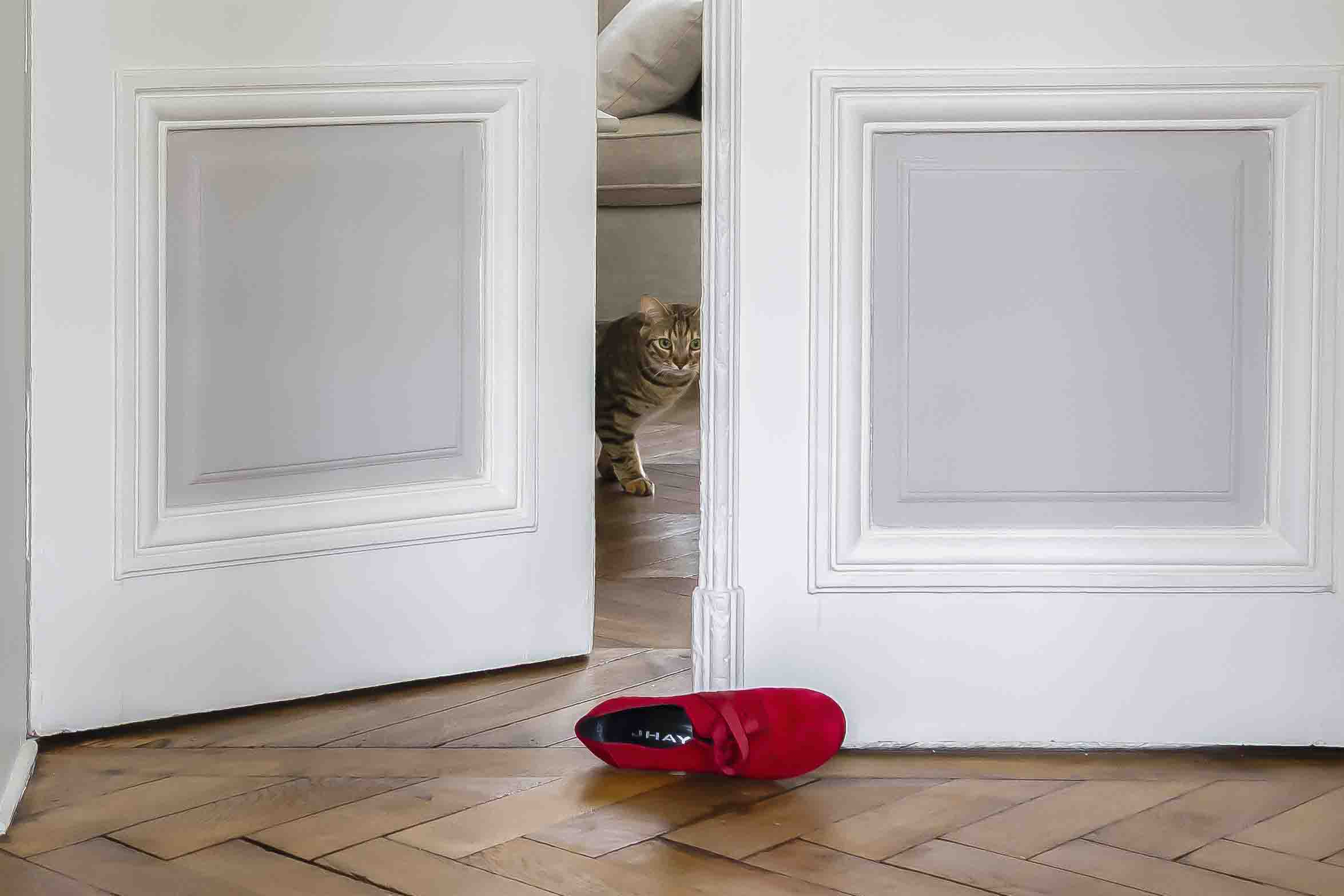 A cat looking at a red shoe on a parquet flor, between to doors.